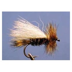 Trude Peacock