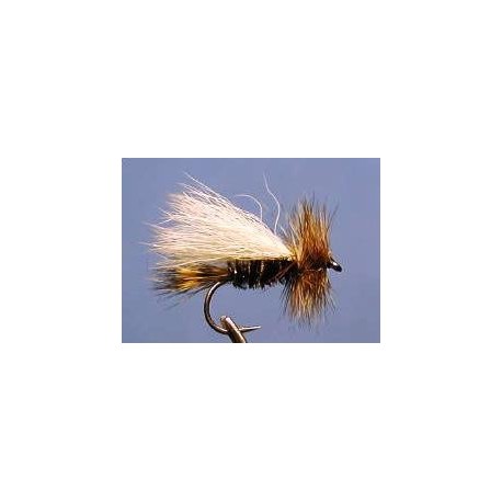 Trude Peacock