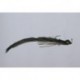 Schiels Black Mad Mud Dog Salamander