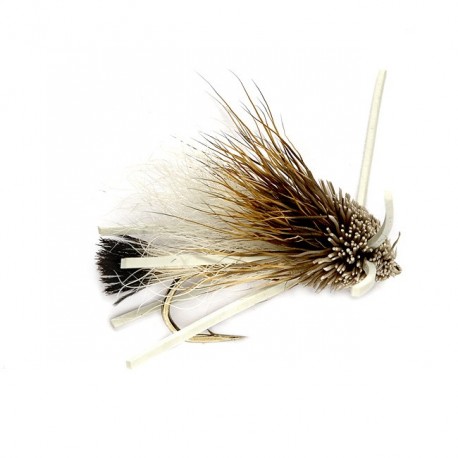 Turks Tarantula Tan