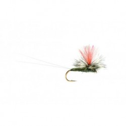 Twinkling Gulper