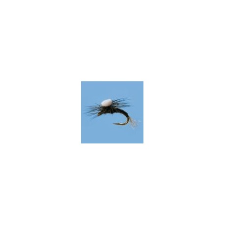 Umpqua Sprout Trico