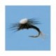Umpqua Sprout Trico