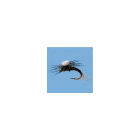 Umpqua Sprout Trico