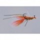 Schiels Burnt Orange Sugar Daddy Cray