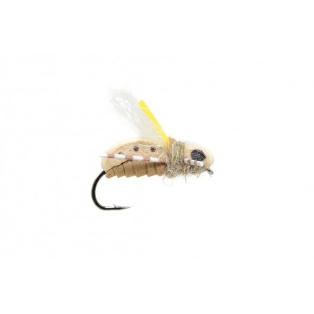 Unsinkabeetle Tan