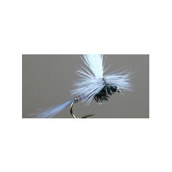 V Quill Para