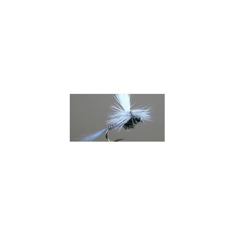 V Quill Para