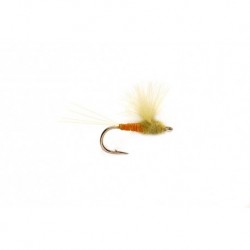 Western CDC Sulphur Yellow