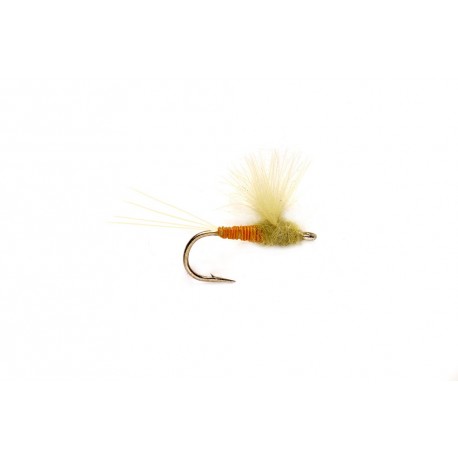 Western CDC Sulphur Yellow
