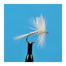 White Miller