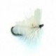 White Moth