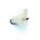 White Moth
