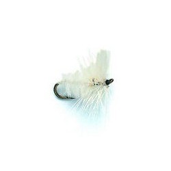 White Moth