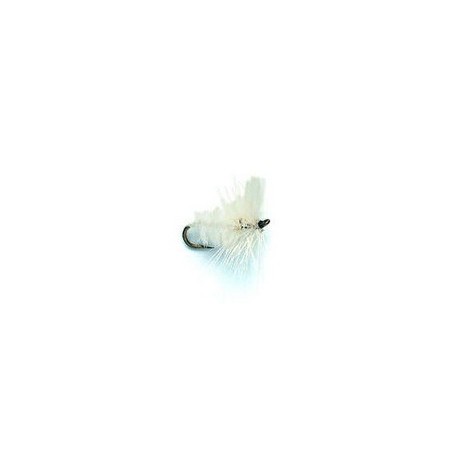 White Moth