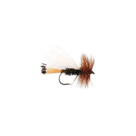 White Peacock Caddis