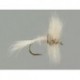 White Wulff