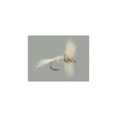 White Wulff