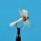 White Wulff