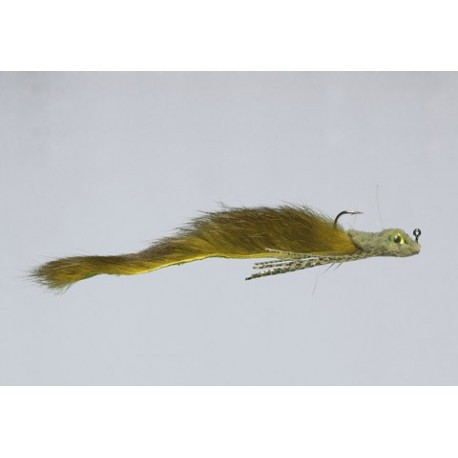 Schiels Olive Mad Mud Dog Salamander