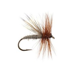 Wood Chuck Caddis