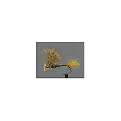 X Caddis Olive