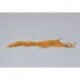 Schiels Tan Mad Mud Dog Salamander