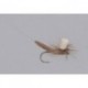 X Fly Parachute Bwo Tb