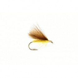 Yellow CDC
