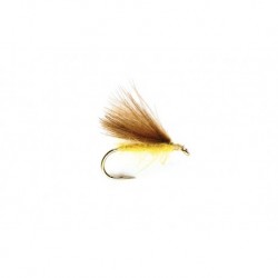 Yellow F Fly