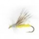 Yellow Sally Dry