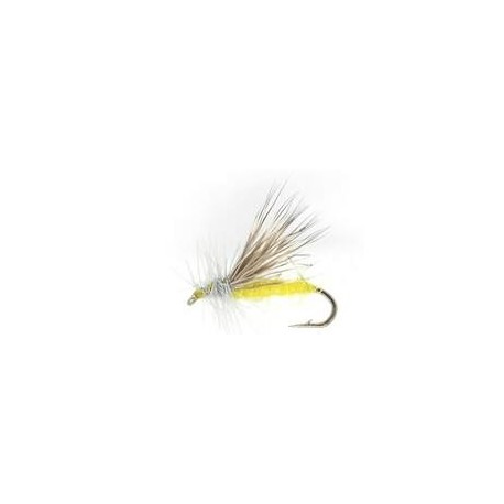 Yellow Sally Dry