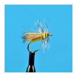 Yellow Sally