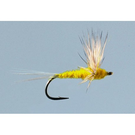 Yellow Sulfur Comparadun