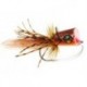Sexi Popper Orange