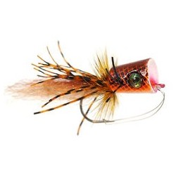 Sexi Popper Orange