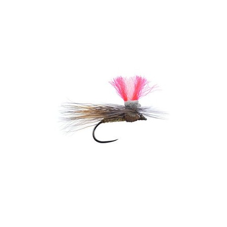 Austrian Natural Sedge Bl