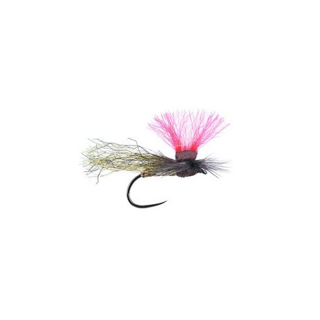 Austrian Repfiber Sedge Bl