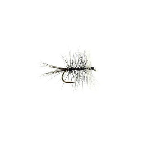 Black Bivisible Bl