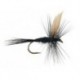 Black Gnat Bl