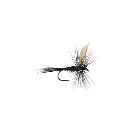 Black Gnat Bl