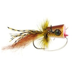 Sexi Popper Yellow