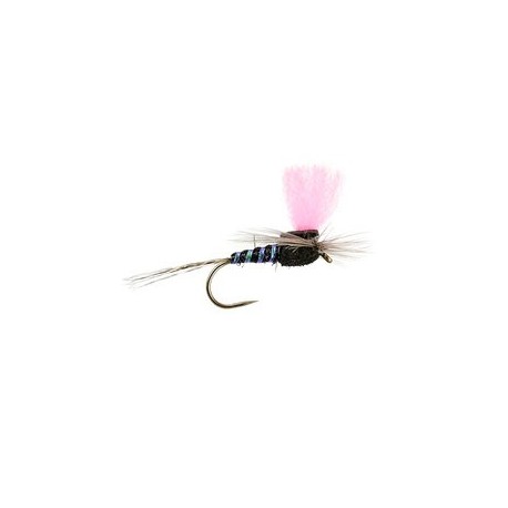 Black High Viz Paradream Bl