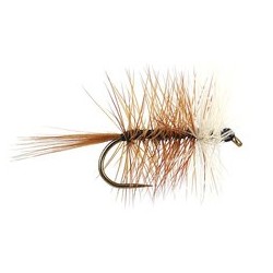 Brown Bivisible Bl