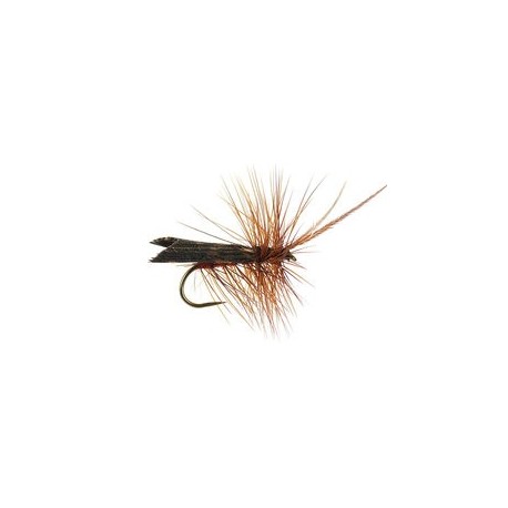 Brown Horned Roof Wing Bl