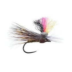 German Natural Sedge Bl