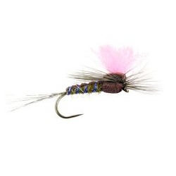 Grey Olive High Viz Paradream Bl
