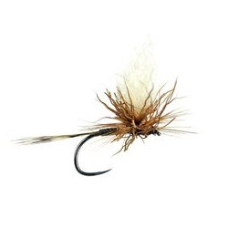 Iht Peccary Brown Bl