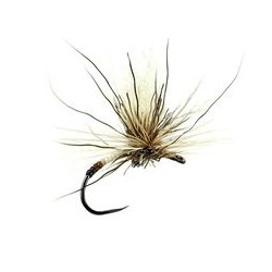 Iht Peccary Brown White Bivisible Bl