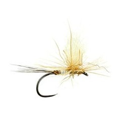 Iht Peccary Cream Bivisible Bl